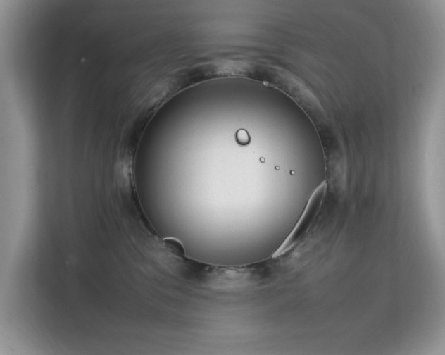 X0000112210329200908071459