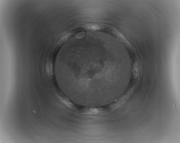 X0000112210330200908071459