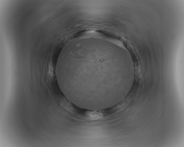 X0000112210331200908071459