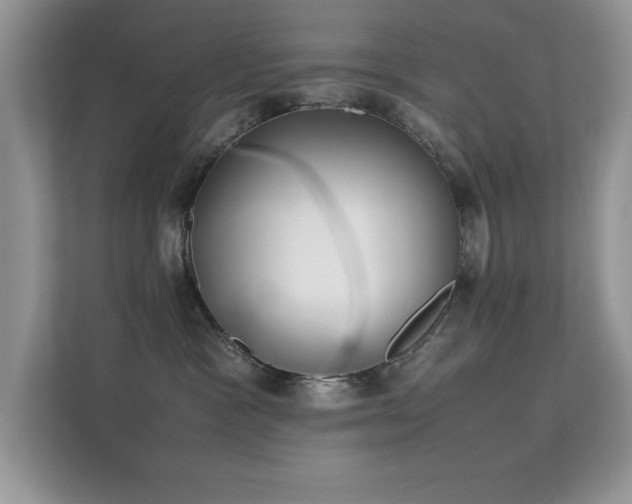X0000112210333200908071459