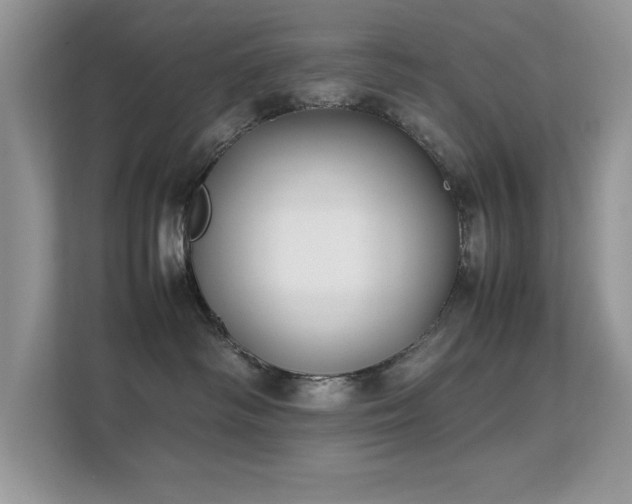 X0000112210334200908071459