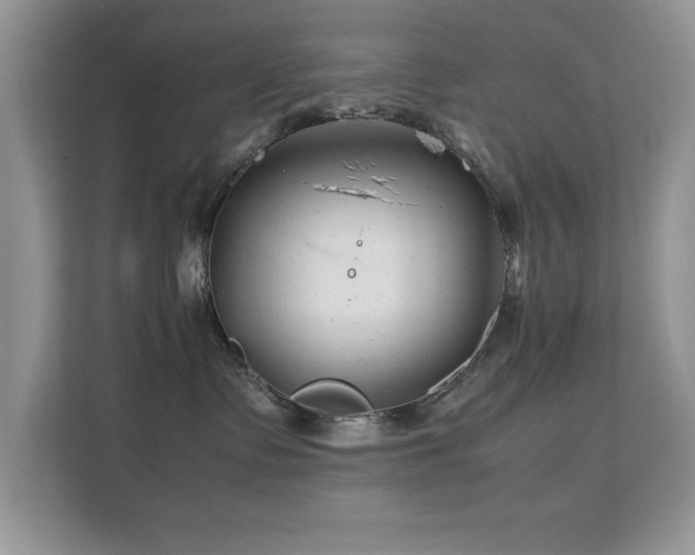X0000112210335200908071459