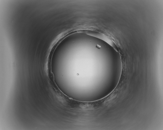 X0000112210340200908071458