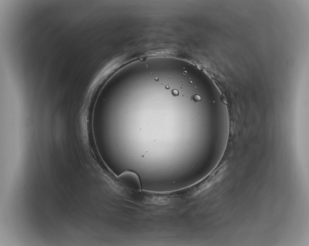 X0000112210341200908071458