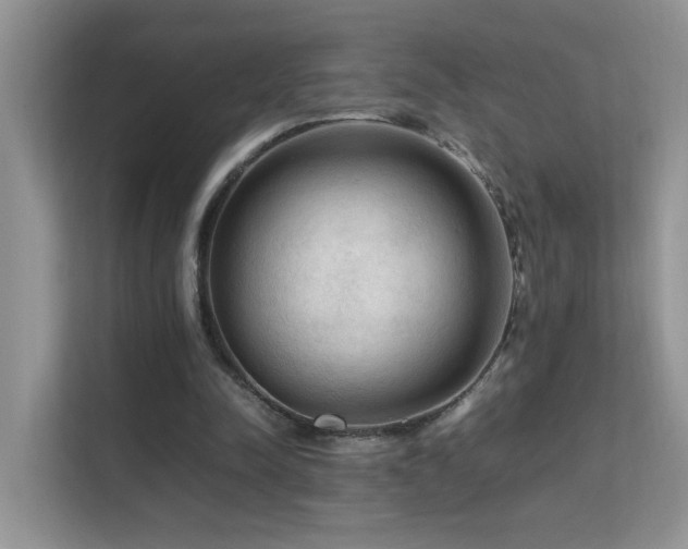 X0000112210342200908071458