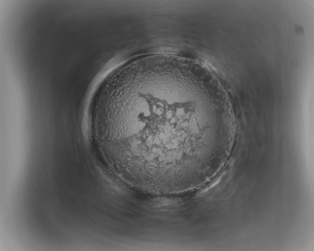 X0000112210343200908071458