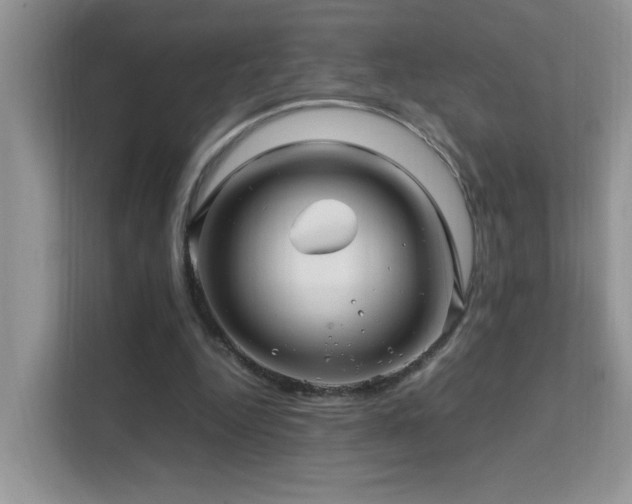 X0000112210344200908071458