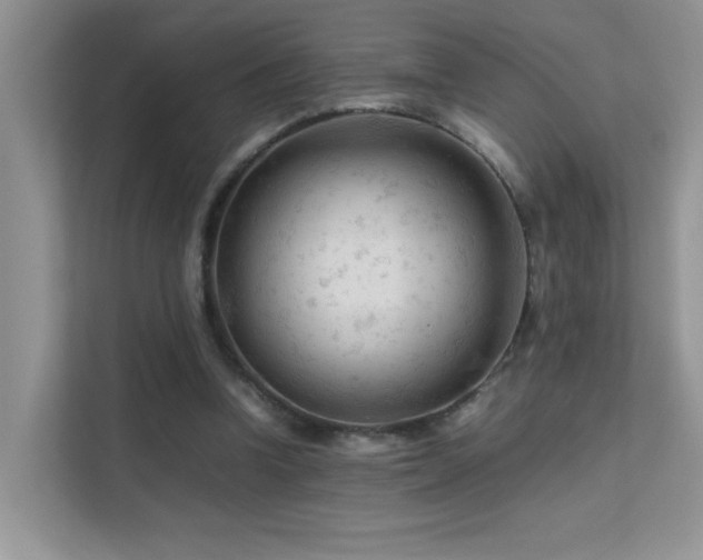 X0000112210346200908071458