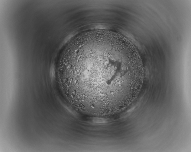 X0000112210347200908071458