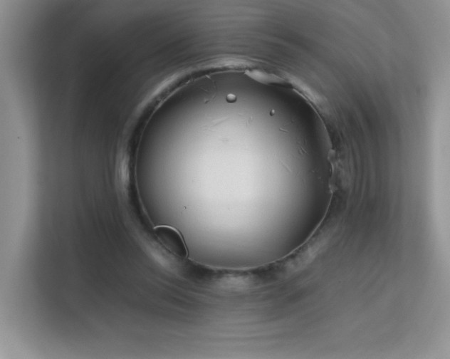 X0000112210350200908071458