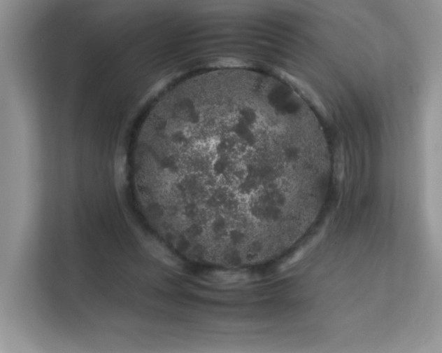 X0000112210351200908071458