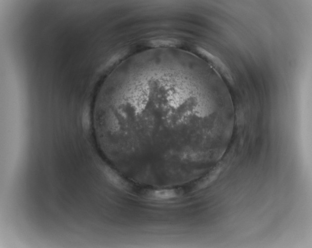 X0000112210353200908071458