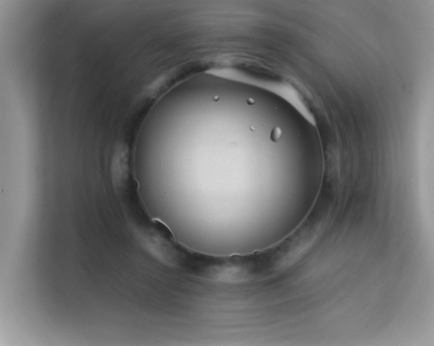 X0000112210356200908071458