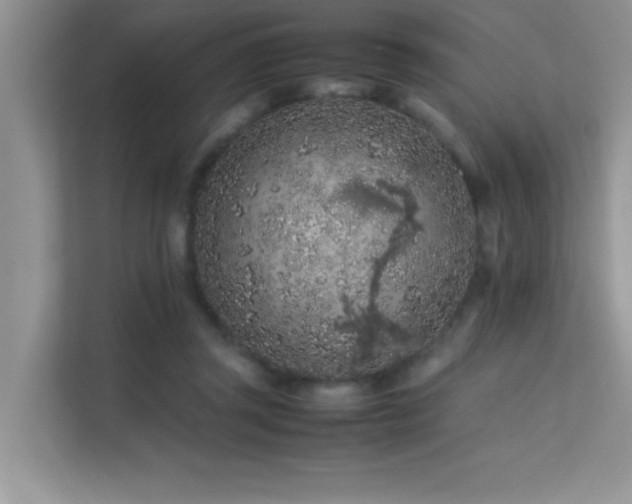 X0000112210357200908071458