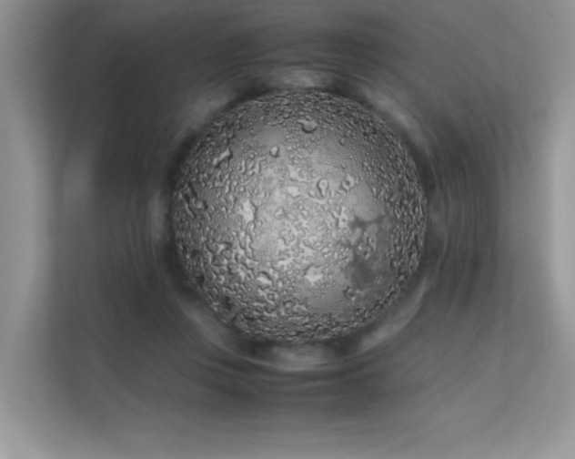 X0000112210359200908071459