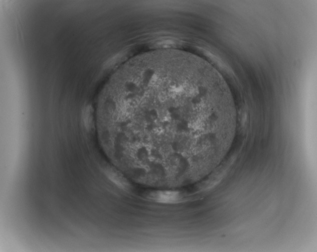X0000112210361200908071459