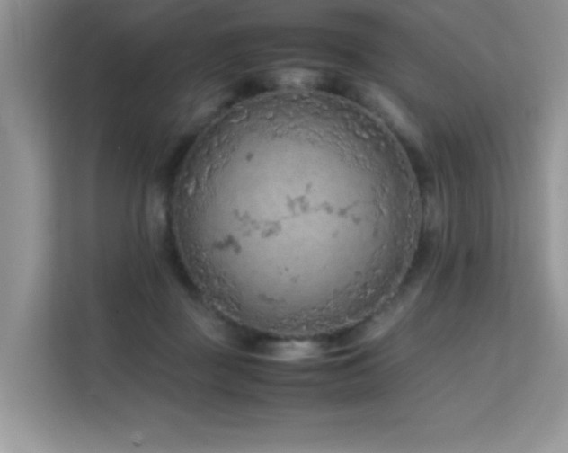 X0000112210363200908071459