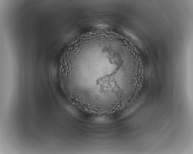 X0000112210365200908071459