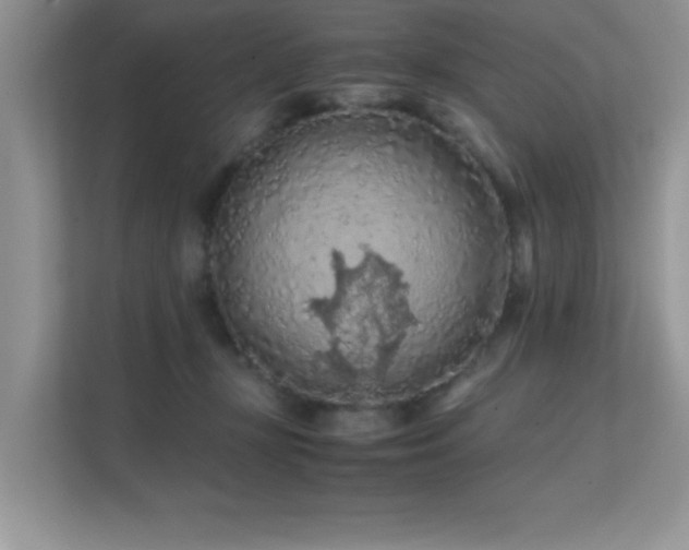 X0000112210367200908071459