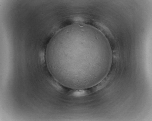 X0000112210369200908071459