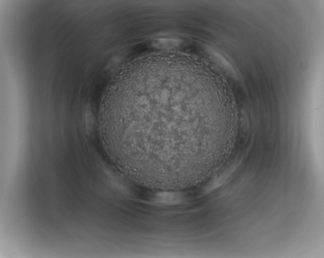 X0000112210371200908071459