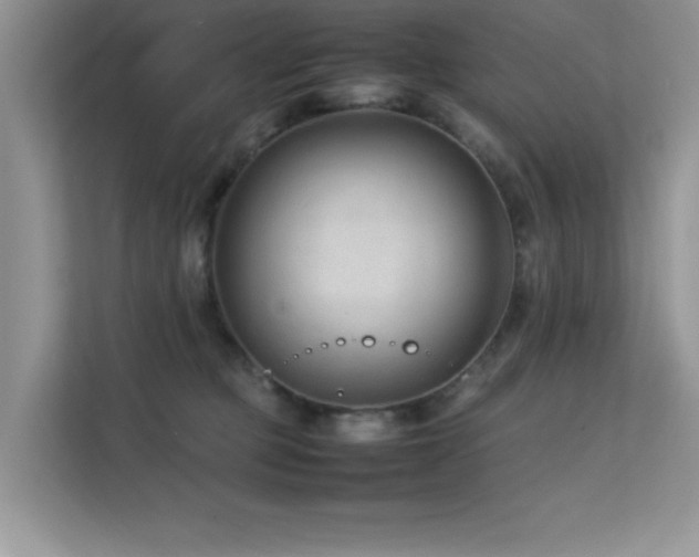 X0000112210373200908071459