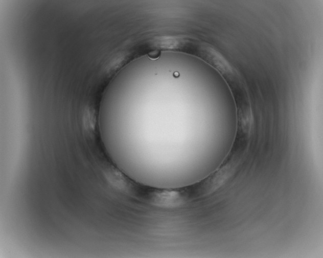 X0000112210374200908071459