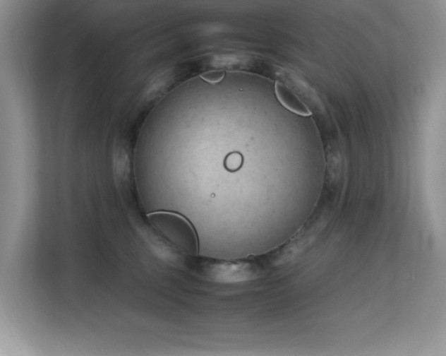 X0000112210375200908071459