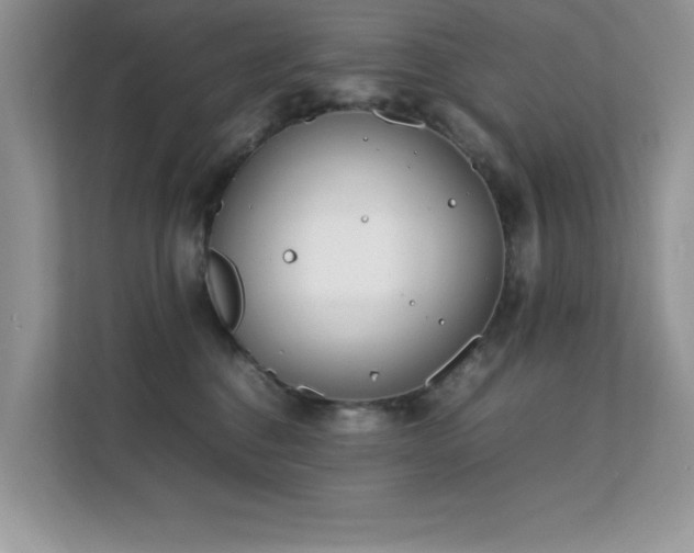 X0000112210376200908071459