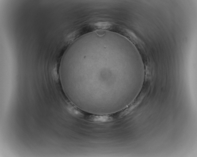 X0000112210377200908071459