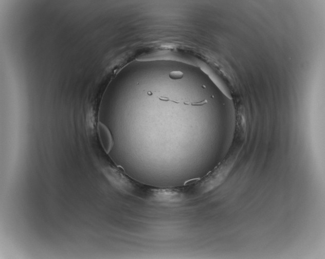 X0000112210380200908071459