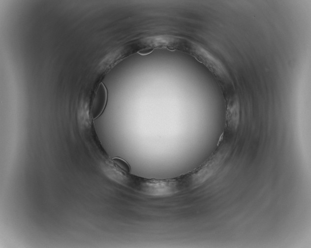 X0000112210381200908071459
