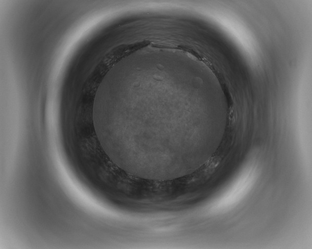X0000112210383200908071459