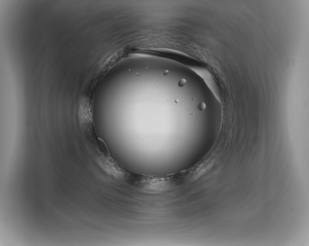X0000112210384200908071459