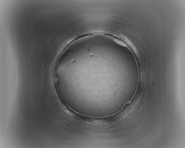 X0000112210385200908071458