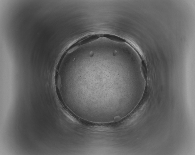 X0000112210389200908071458