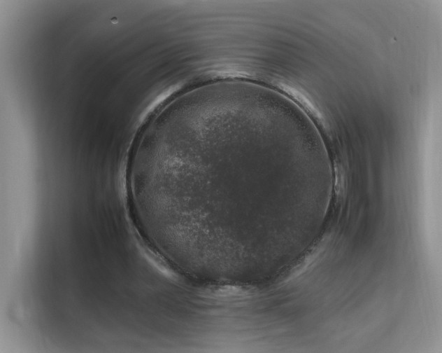 X0000112210390200908071458