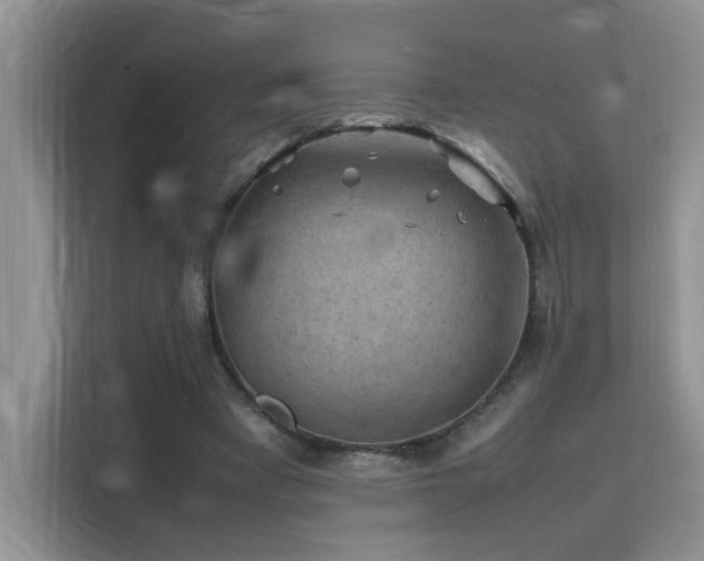 X0000112210393200908071458
