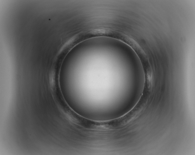 X0000112210396200908071458