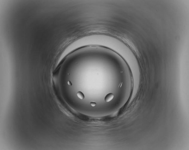 X0000112210397200908071458