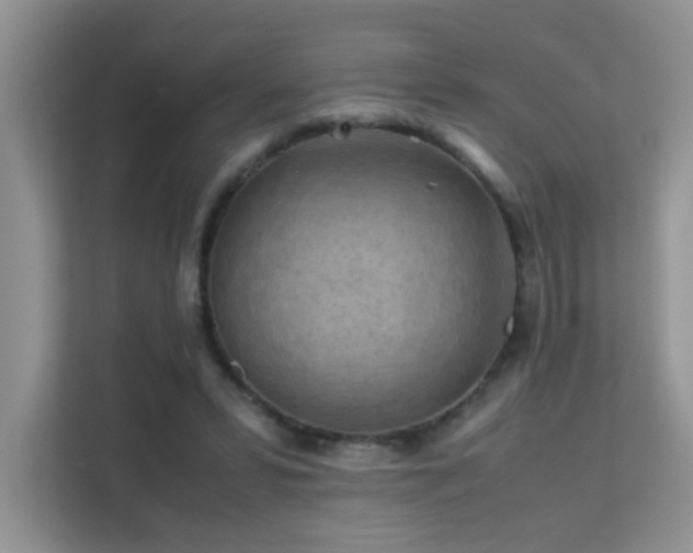 X0000112210399200908071458
