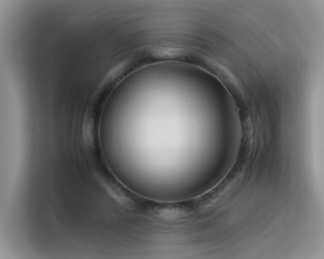 X0000112210400200908071458