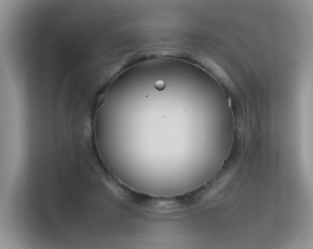 X0000112210401200908071458