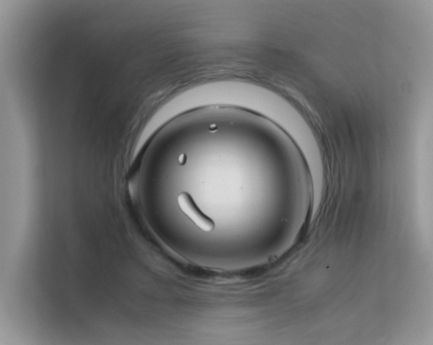 X0000112210403200908071458