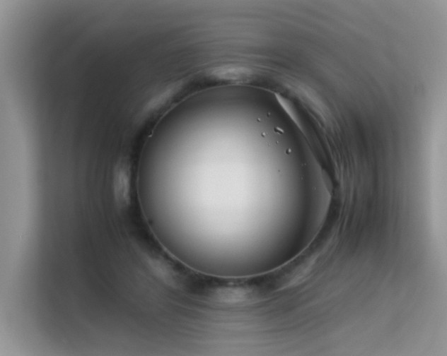 X0000112210404200908071458