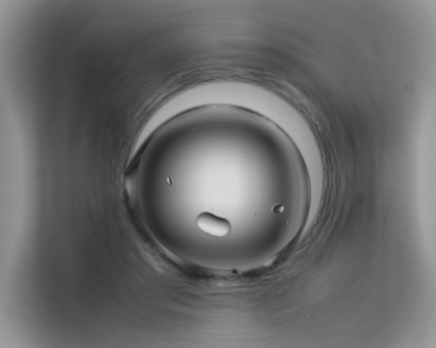 X0000112210405200908071458