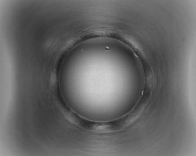 X0000112210407200908071458