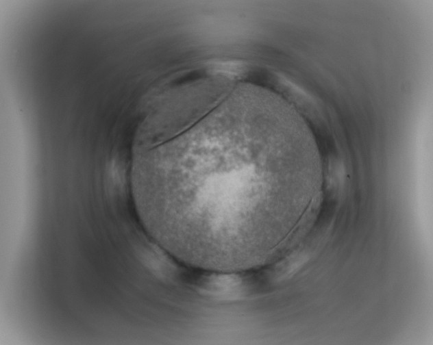 X0000112210409200908071458