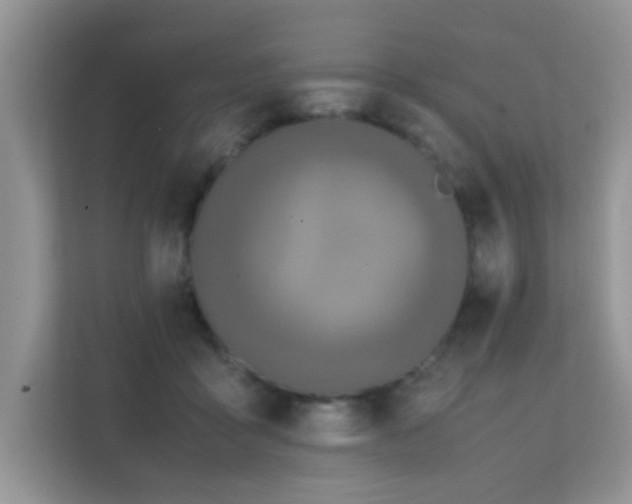 X0000112210411200908071458