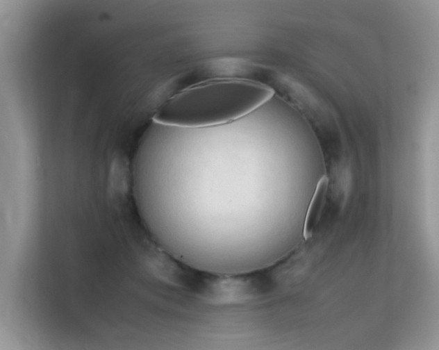 X0000112210413200908071458
